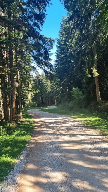 Kuća za odmor Ravna planina - 3