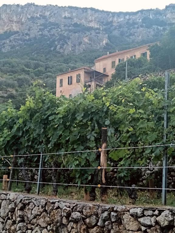 Superperti - appartamento 1 - 3