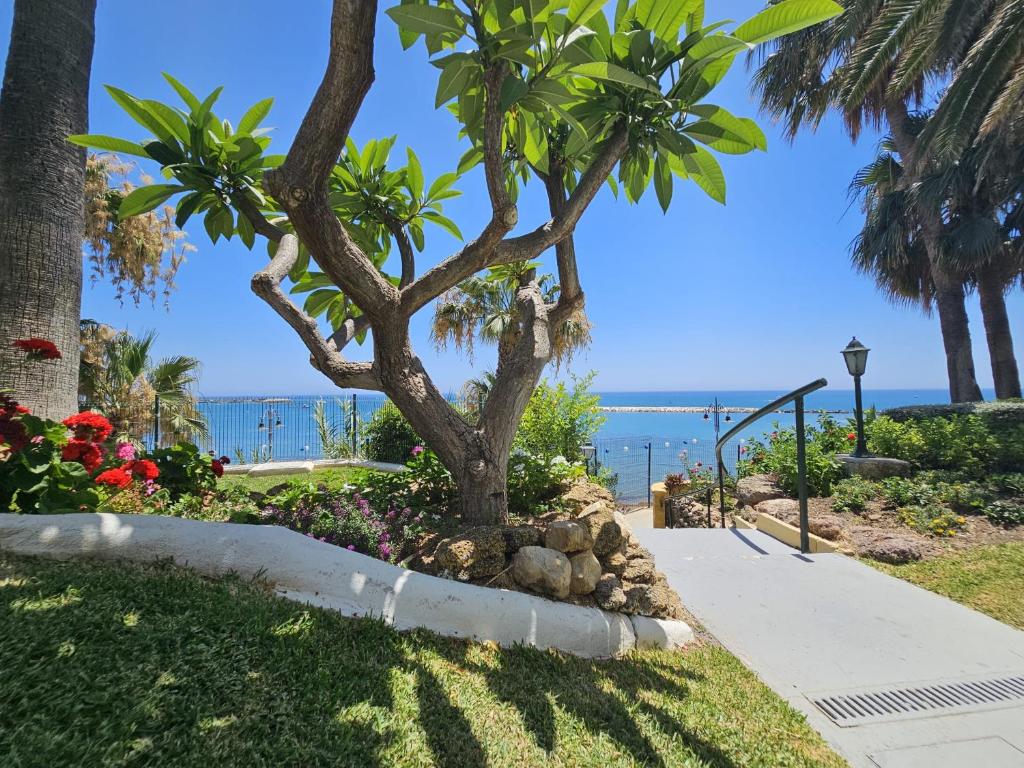 Apartamento en Benalmádena en la playa con piscina Frontal al mar - 3
