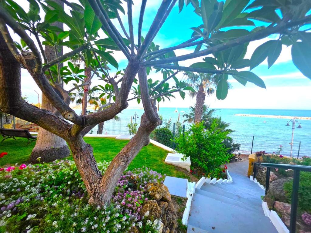 Apartamento en Benalmádena en la playa con piscina Frontal al mar - 4