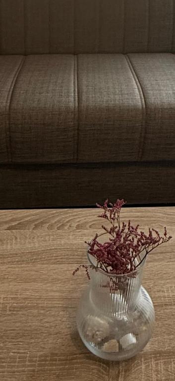 Apartment Atina - 3