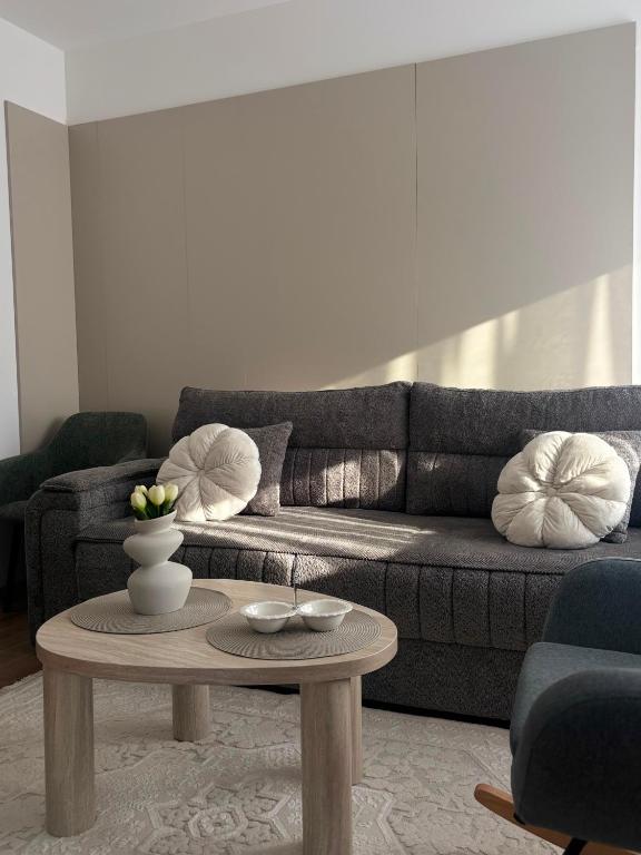 Apartman Tea Banja Koviljaca - 5