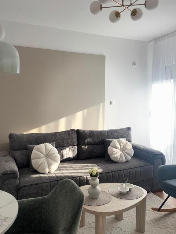 Apartman Tea Banja Koviljaca - 3