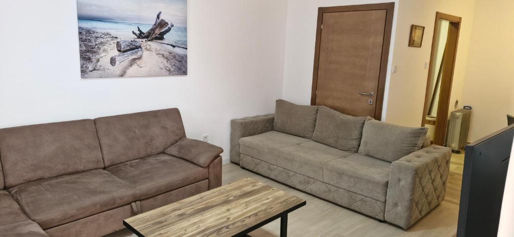 Apartment Bracovic - city center 2 - 3