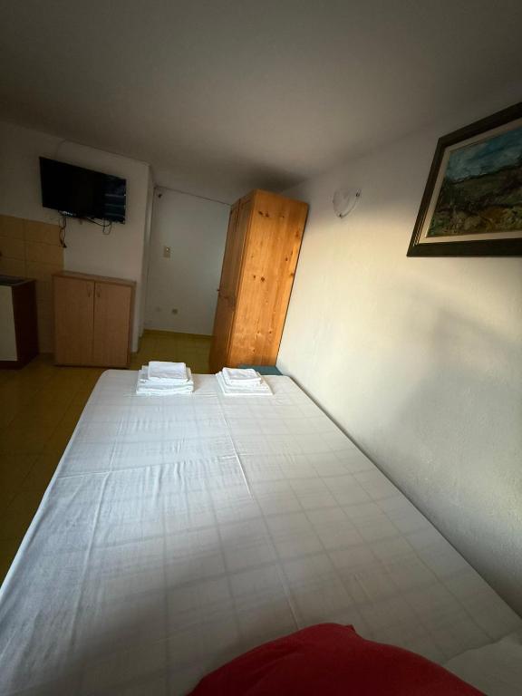Apartmani Popovic, trokrevetni studio - 3