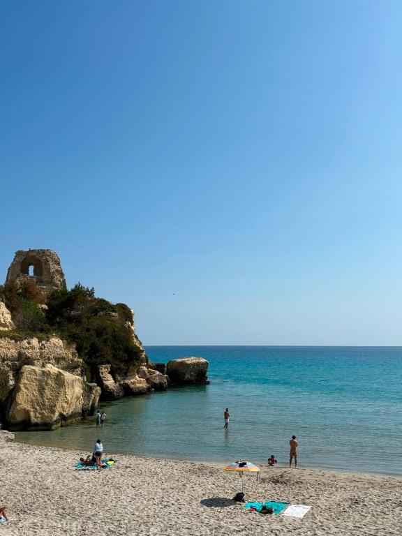 Sea La Vie - 2