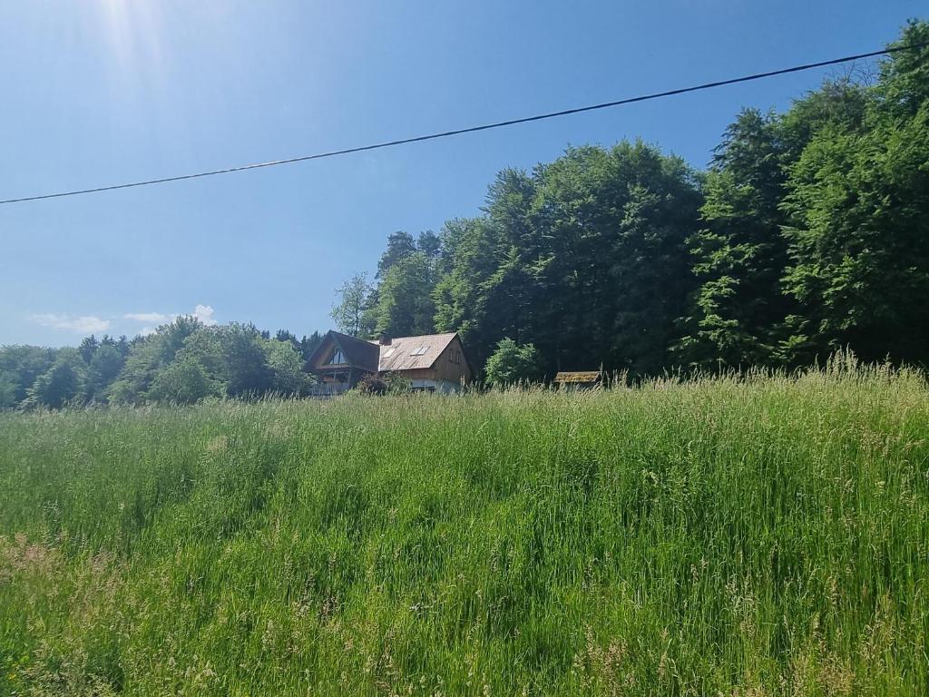 Kuscheliges Blockhaus in Alleinlage mit Traumaussicht - 5
