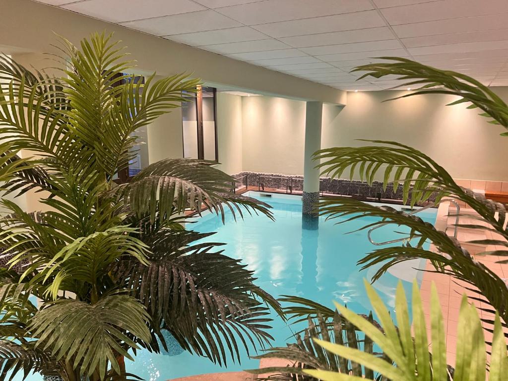 Apparts Low Cost CAMI REAL Piscine et Wifi inclus - 3