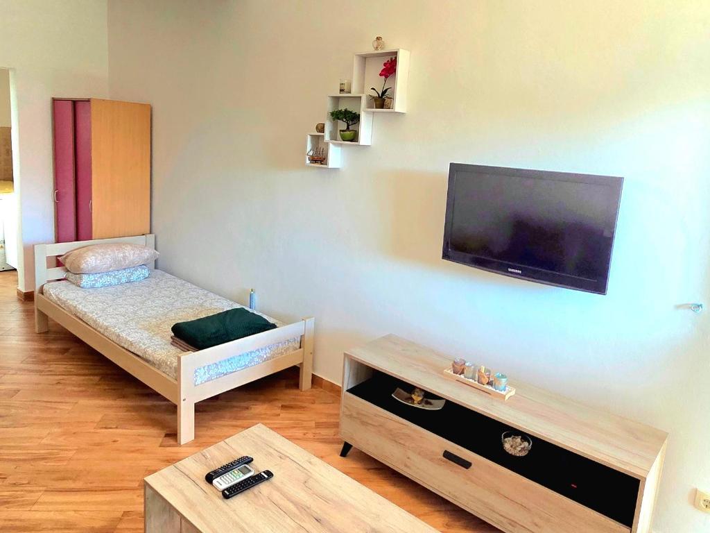 Studio Apartman Susanj Bar - 5