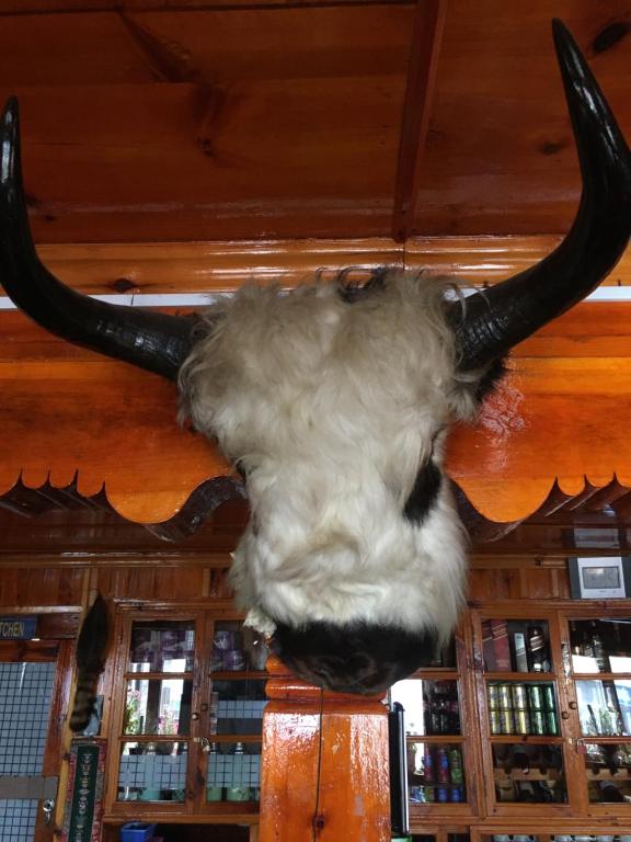 Hotel Khangri - Namche photo
