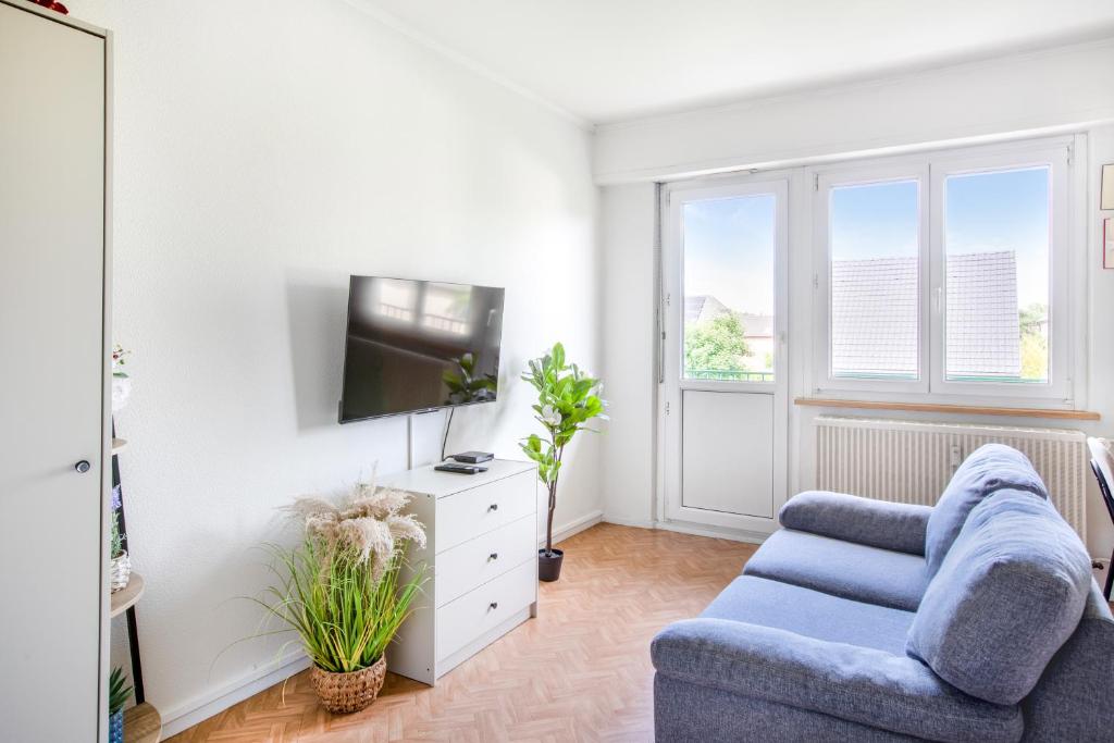 Studio à Mulhouse parking privé et wifi haut débit - 4