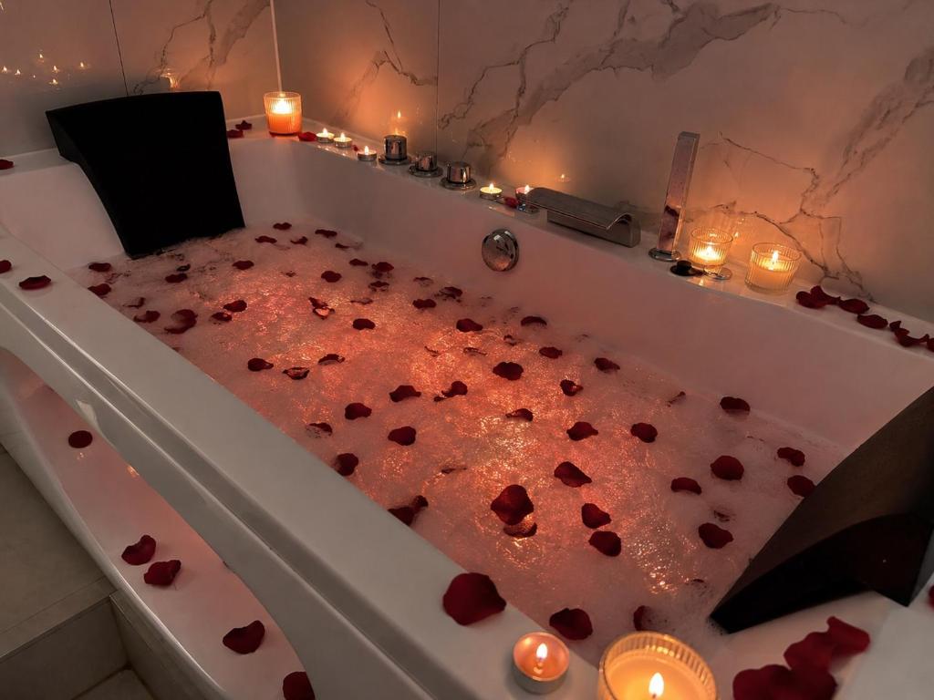 Cocon romantique Jacuzzi privatif et Netflix Lyon - 3