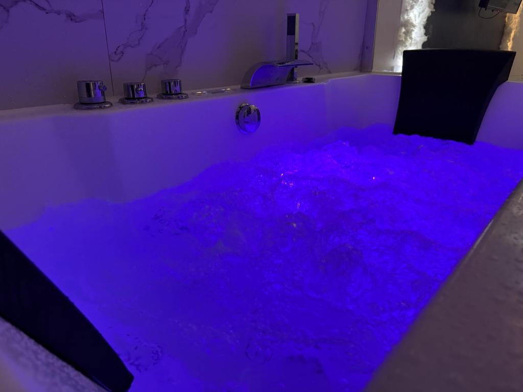 Cocon romantique Jacuzzi privatif et Netflix Lyon - 5
