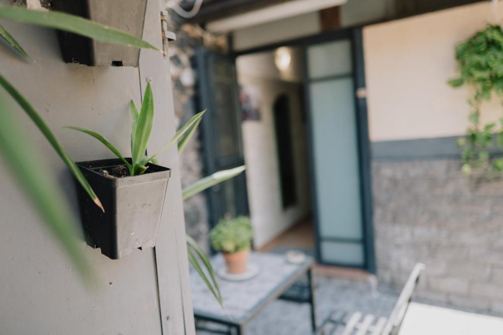 Bianchi house - 2