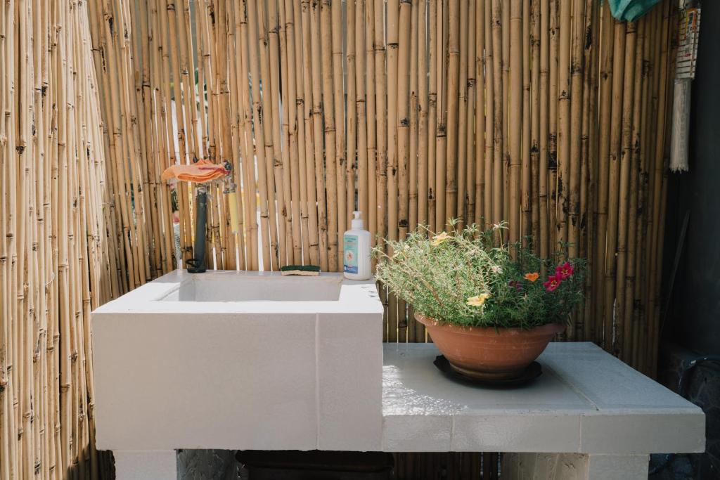 Bianchi house - 5