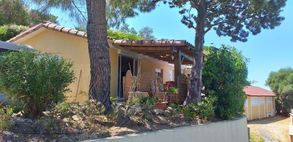 Maison au Lavandou - 2