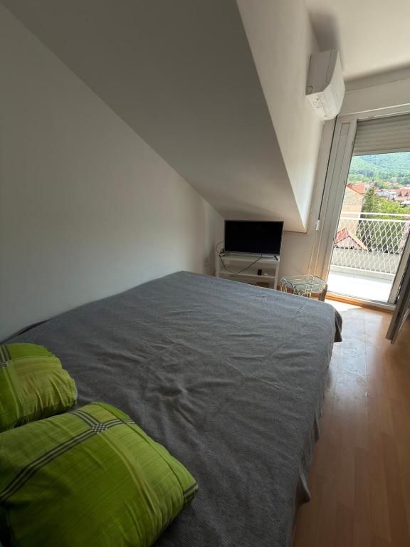 Apartment Sokobanja - 2