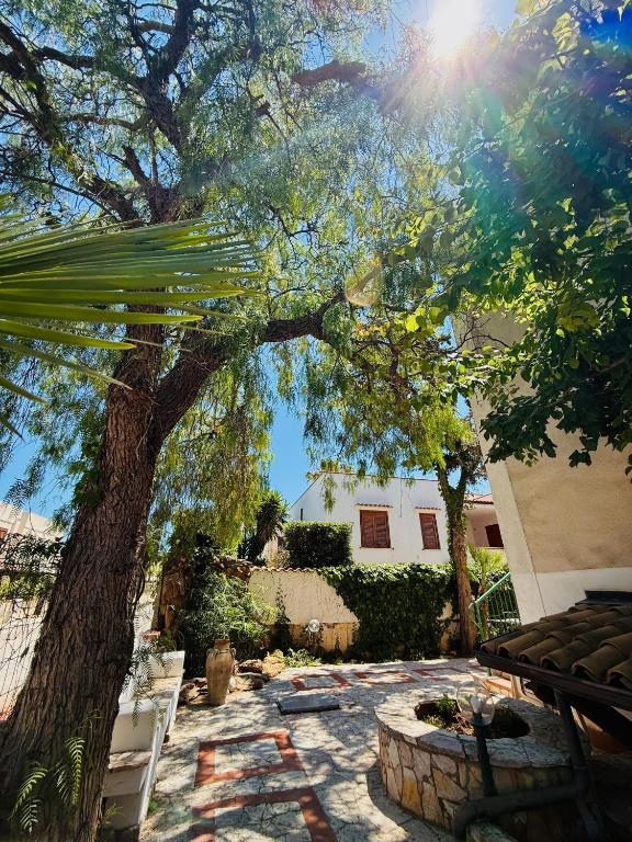 Il giardino del Falso Pepe - 5