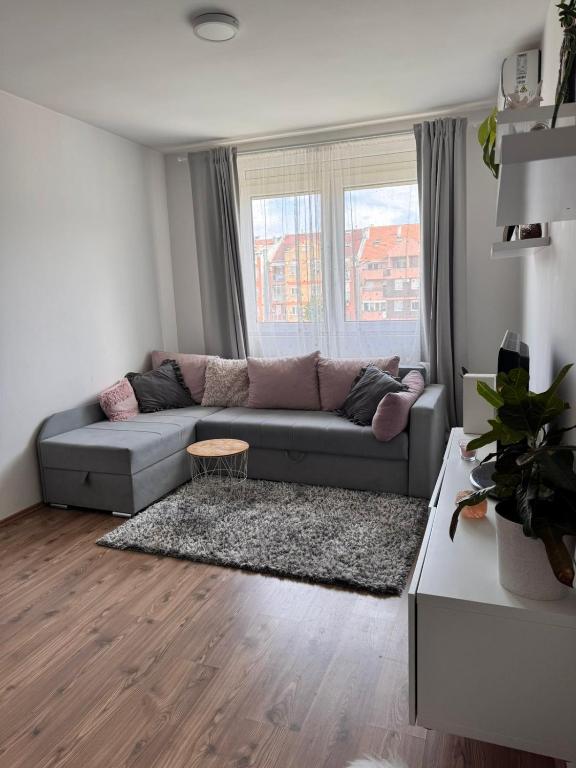 Apartman Jovana - 4