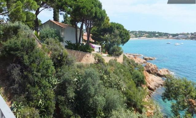 Costa Brava. Sagaró frontbeach, cala acces - 2