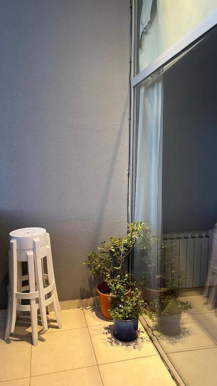Spacious apartment in the Chauvin area of Mar del Plata - 5