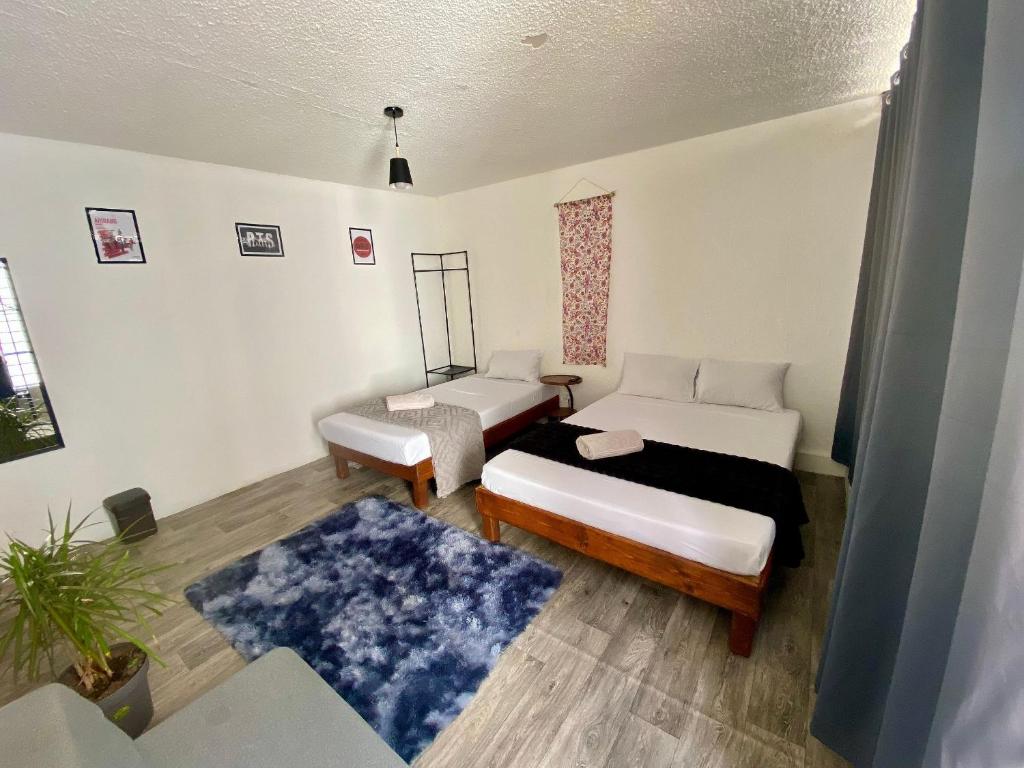 Music Guest House - 2