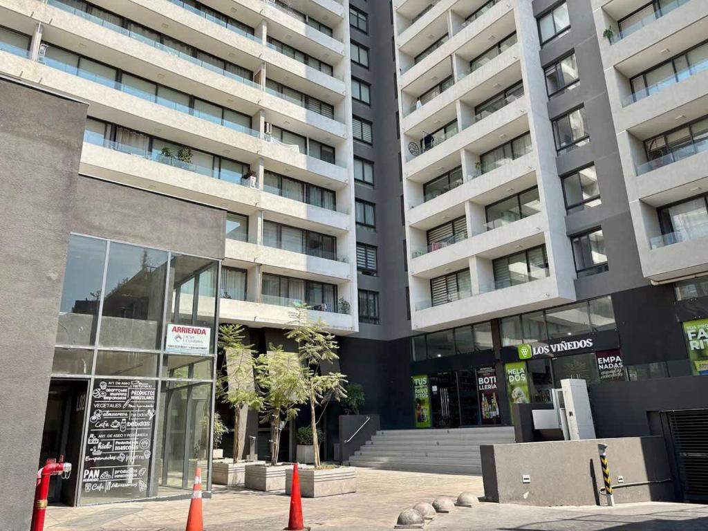 Austral-Home Luminous in front of Plaza Egana - 5