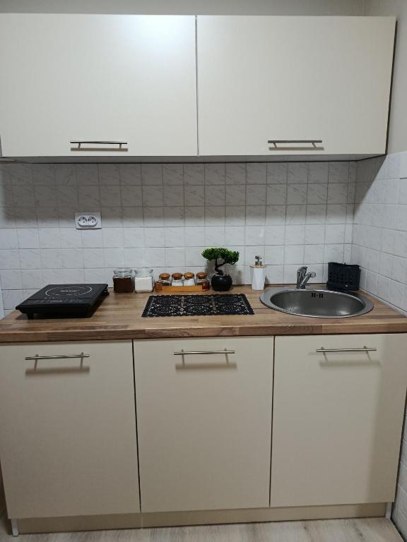Apartman Sanja-Niš - 3