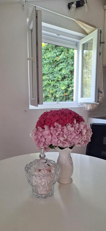 Apartman Budva - 5