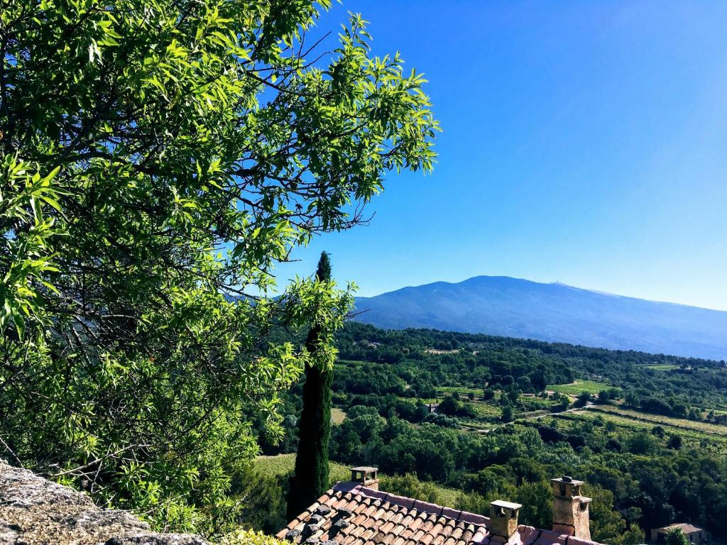 Les Maquinols Provence Villa, Mont Ventoux, Bédoin - 2