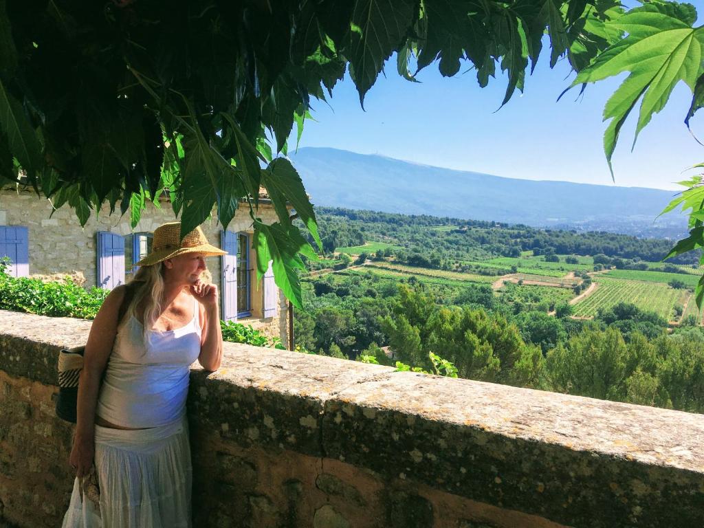 Les Maquinols Provence Villa, Mont Ventoux, Bédoin - 4