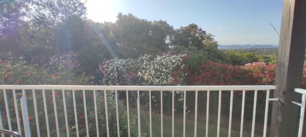 Appartement avec piscine à Fréjus - 5
