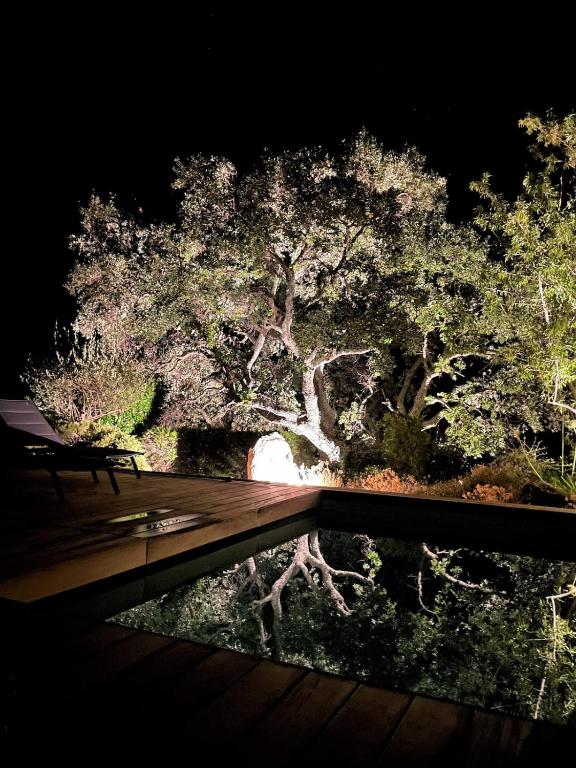 Villa Terra Vecchia -12 personnes, piscine chauffée, vue dégagée - 4