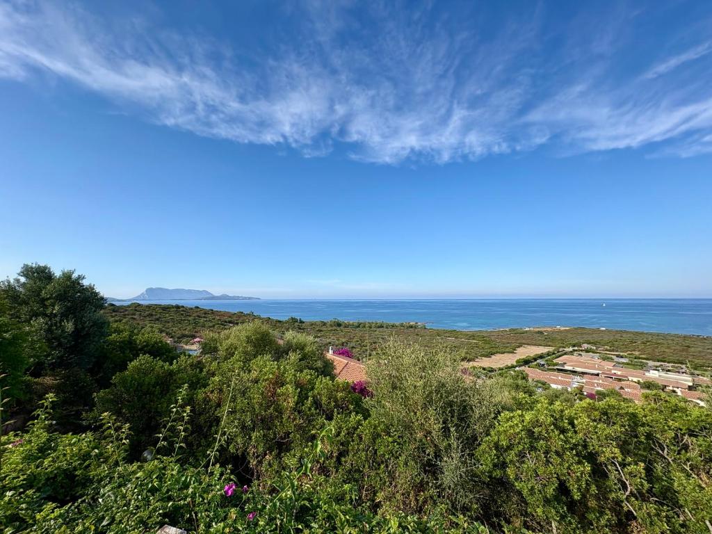 Villa Perla di Costa Caddu - 3