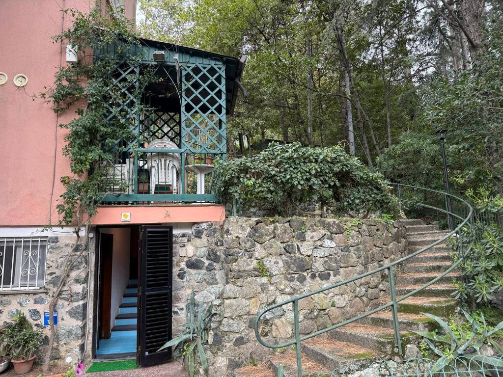 Il Pulcino della Pavona - sea view and garden - 5