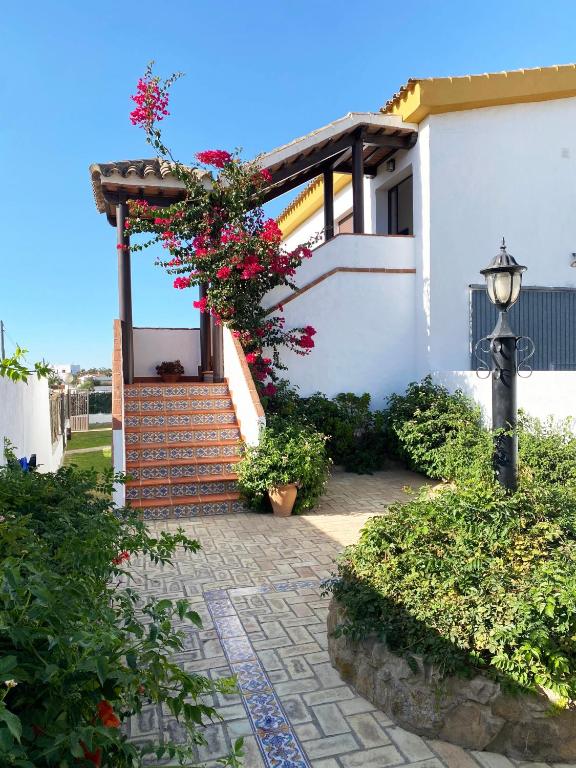 Apartamentos La Viña - 2