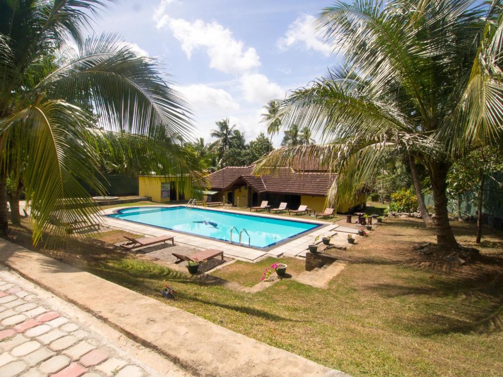 スイミングプール