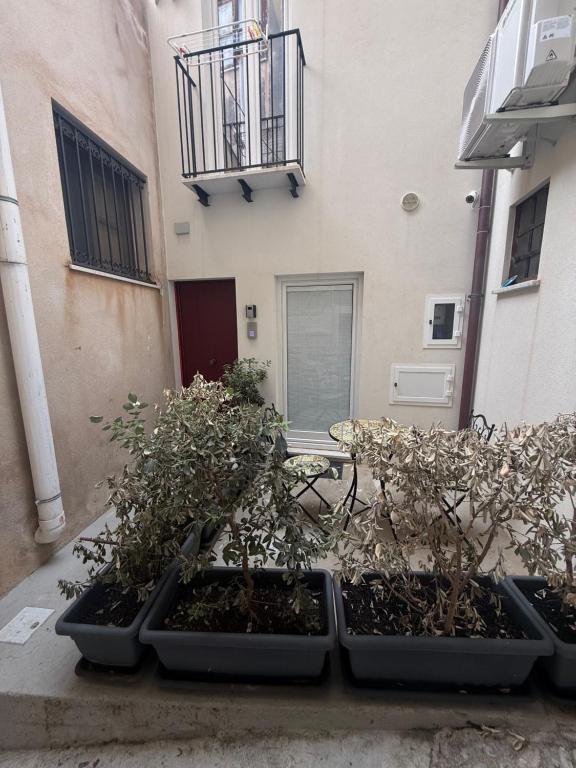 Alley House - 5