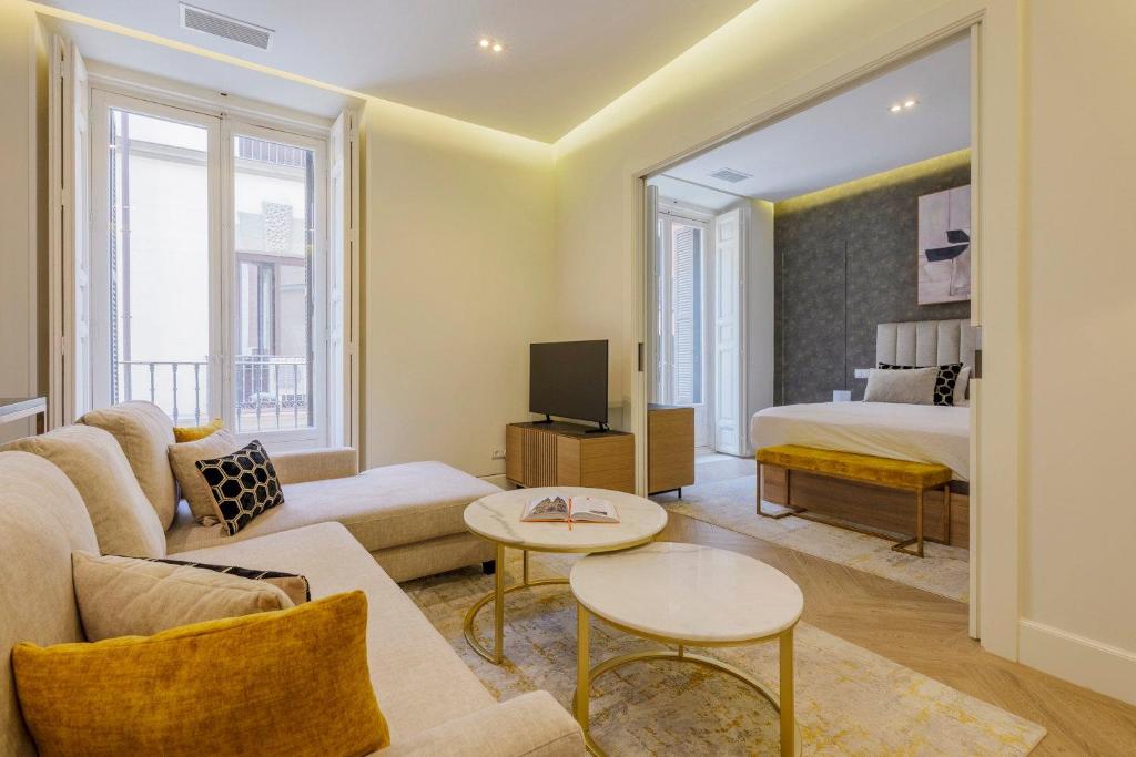 Premium apartment in city center - 1