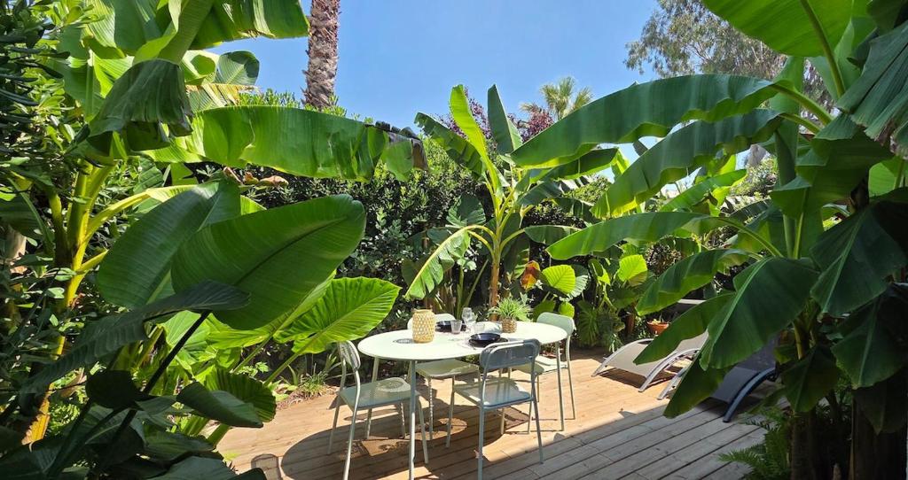 Studio avec terrasse tropicale à 3 min de la plage - 1