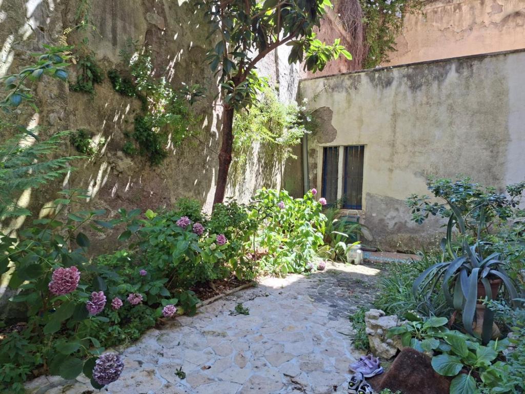 Nemus garden house - 2