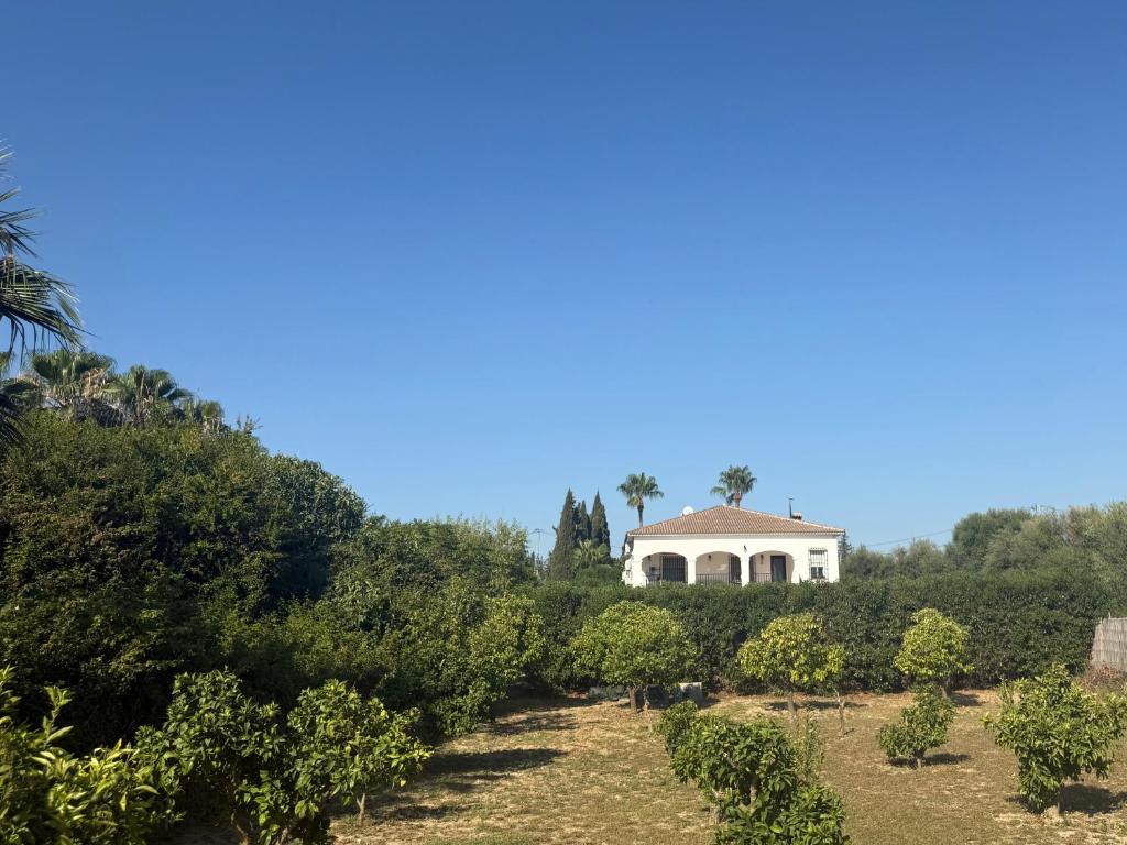 Casa de Ámbar, Bed&Breakfast - 5