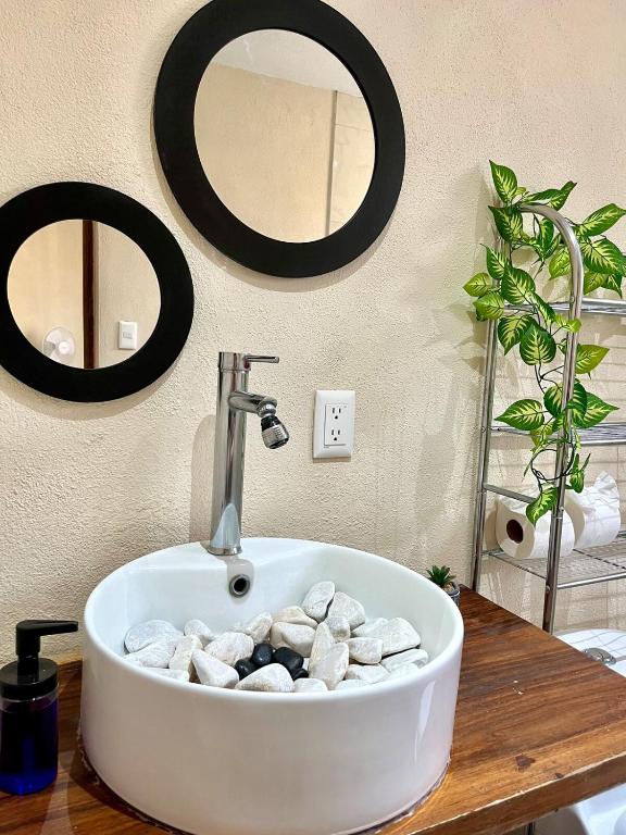 Planta Baja,p4,Pet friendly,10 minutos del centro - 4