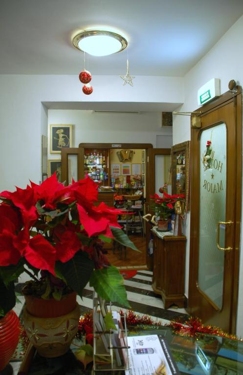 Hotel Major photo
