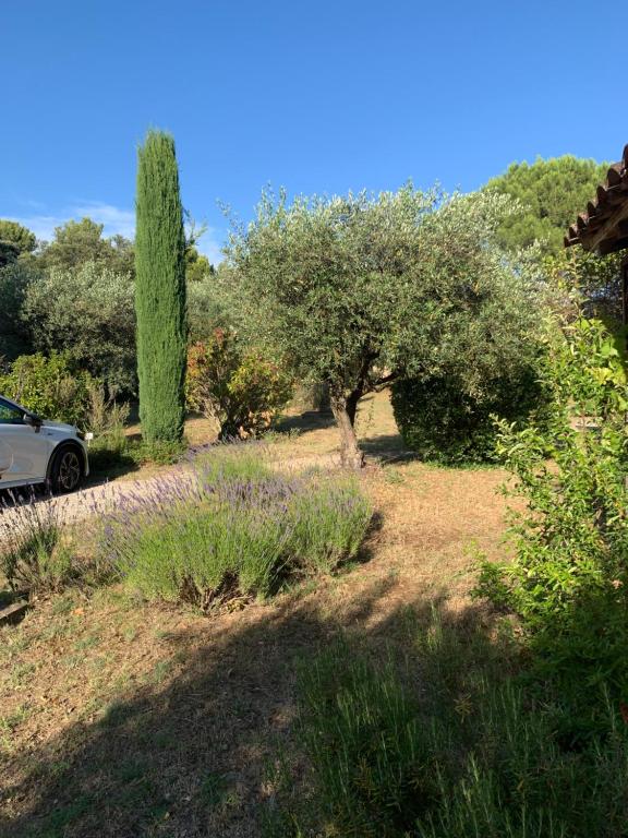 Maisonnette Vivaldi - Vaison la romaine - 4