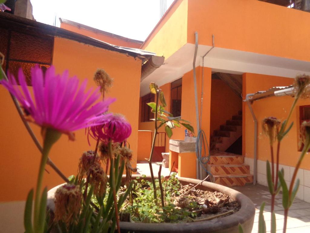 Qosqorunas Cultural Guesthouse - 4