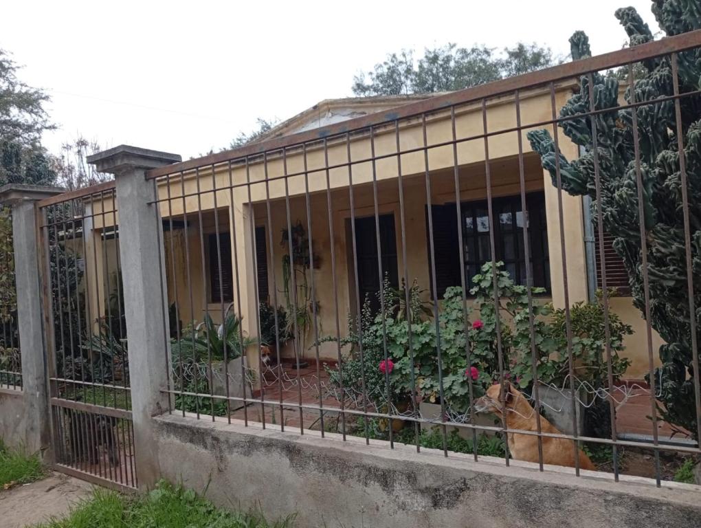 La Casa de la Esquina - 4