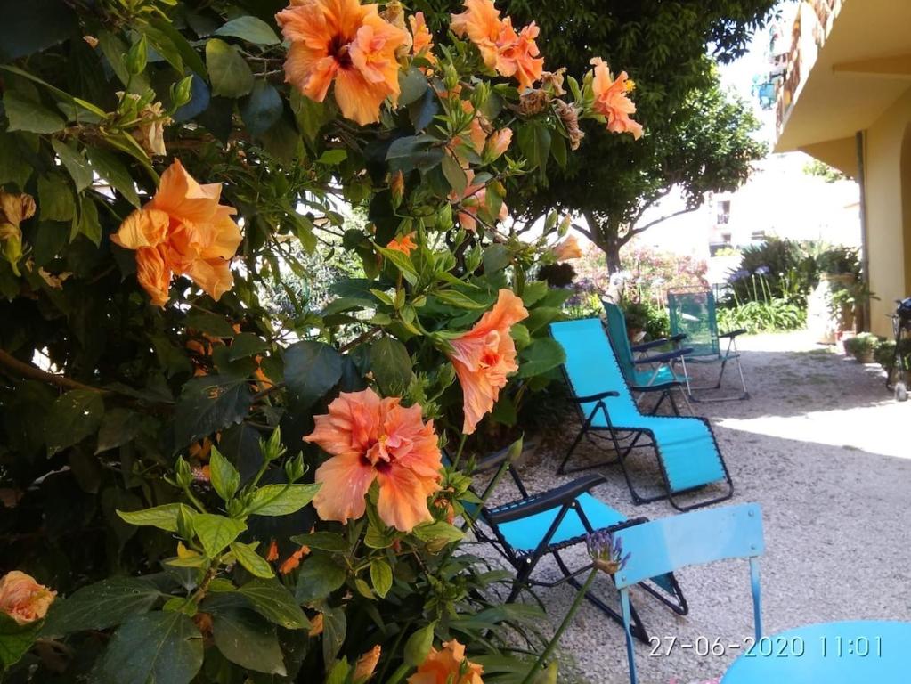 Duplex Oasis avec Jardin dans Vieille Ville - 4