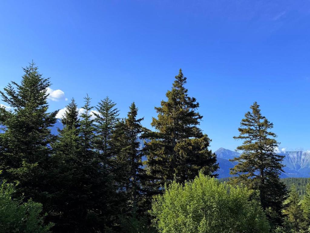 Appartement à Chamrousse - 4 pers. - FR-1-549-168 - 2