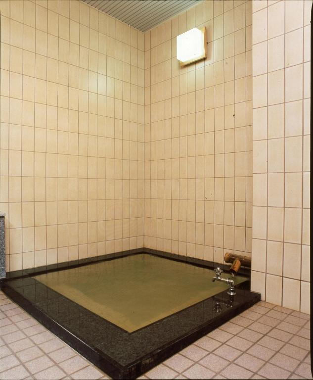 Hot spring bath
